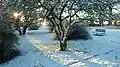 Winter