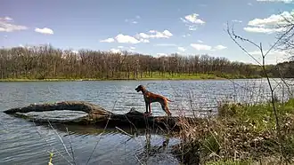 Johnson-Sauk Trail Lake