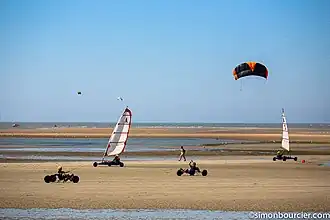Kite on the beach