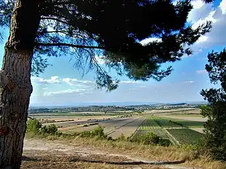 Étang de Montady