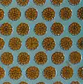 King's dress, Khorsabad, Assyria; this is almost p6m (ignoring inner parts of flowers, which make it cmm)