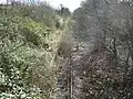 The overgrown remains of the station (2008)
