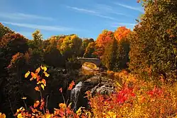 Webster's Falls in Fall