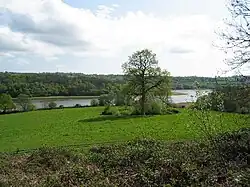 Weir Wood Reservoir