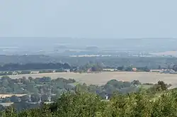Wittenham Clumps