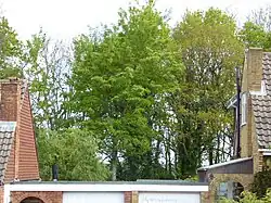 West Hoathly
