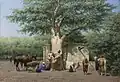 The well and sycamore in Ezbekieh Square, Cairo, c1858-60, by Willem de Famars Testas