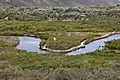 A meander in the Tidal River (Victoria)