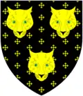 Three leopard's faces