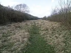 Woodwalton Marsh