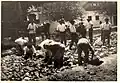 Workers building a road in Bački Petrovac