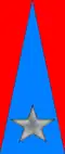 225th Coastal Division
