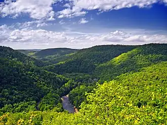 Landscape