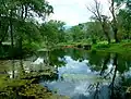 Nestos river outside the city