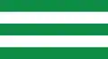 Flag of Ypacaraí