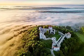 Tenczyn Castle