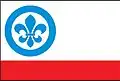 Flag of Zhoř u Mladé Vožice