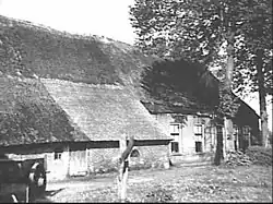 Farm in Holsloot