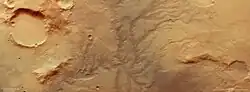 An orange moonscape, showing the rusty Mars soil. Impressions in the sand show where rivers once flowed, in a fractal-like form.